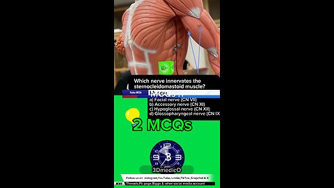 Muscle MCQS part2 : #mcqs #muscle #3dmedico