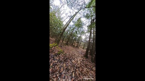 Walk through the backwoods of PA