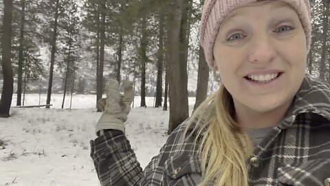 Cleaning up the land getting it ready for the cows to pasture in spring Episode 4