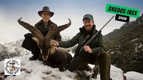 Stunning Gredos Ibex in Spain