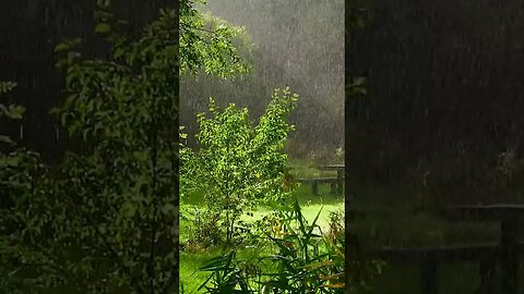 Relaxing rain video| raining |short cinematic rain video #shorts