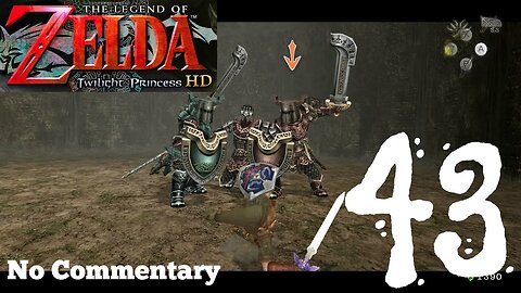 The Legend of Zelda_ Twilight Princess HD - Ep43 Cave of Ordeals Floors 41-50 and Jovani _ NC