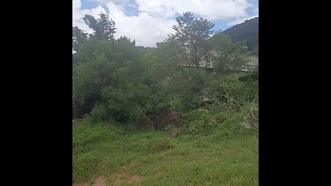 TRECHO DO ESQUELETO DO RODOANEL NORTE TRILHA CERCADA DE MATO E MORADIA PROXIMAS