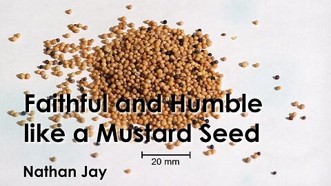 Colfax AoG Christmas Sermon Jan15 - Faithful and Humble like a Mustard Seed