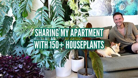 HOUSEPLANT TOUR - my full apartment - February 2023