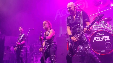 Accept - Princess of the Dawn - Tally Ho, Leesburg, VA 9/22/2024