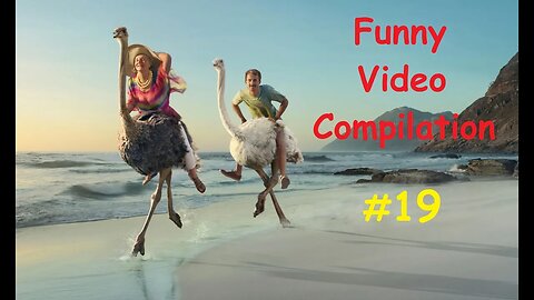 Funny video compilation #19