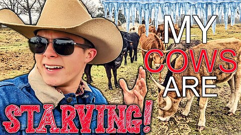 MY Cows Are STARVING!💀•💥WARNING ICE STORM 2023! • It's Getting WORSE...