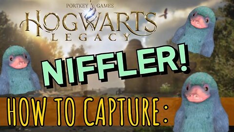 ⚡Where to Find and Capture the Niffler in Hogwarts Legacy⚡