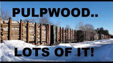 School Bus Stuck Waiting On Freight Train FULL Of Pulpwood! #trainvideo #trains | Jason Asselin