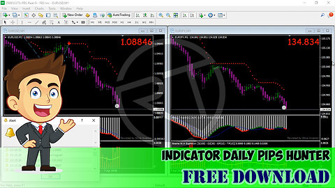 FREE DOWNLOAD || INDICATOR DAILY PIPS HUNTER METATRADER 4