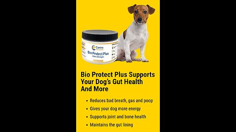 Bio Protect Plus: The Ultimate Vet-Formulated Dog Supplement!