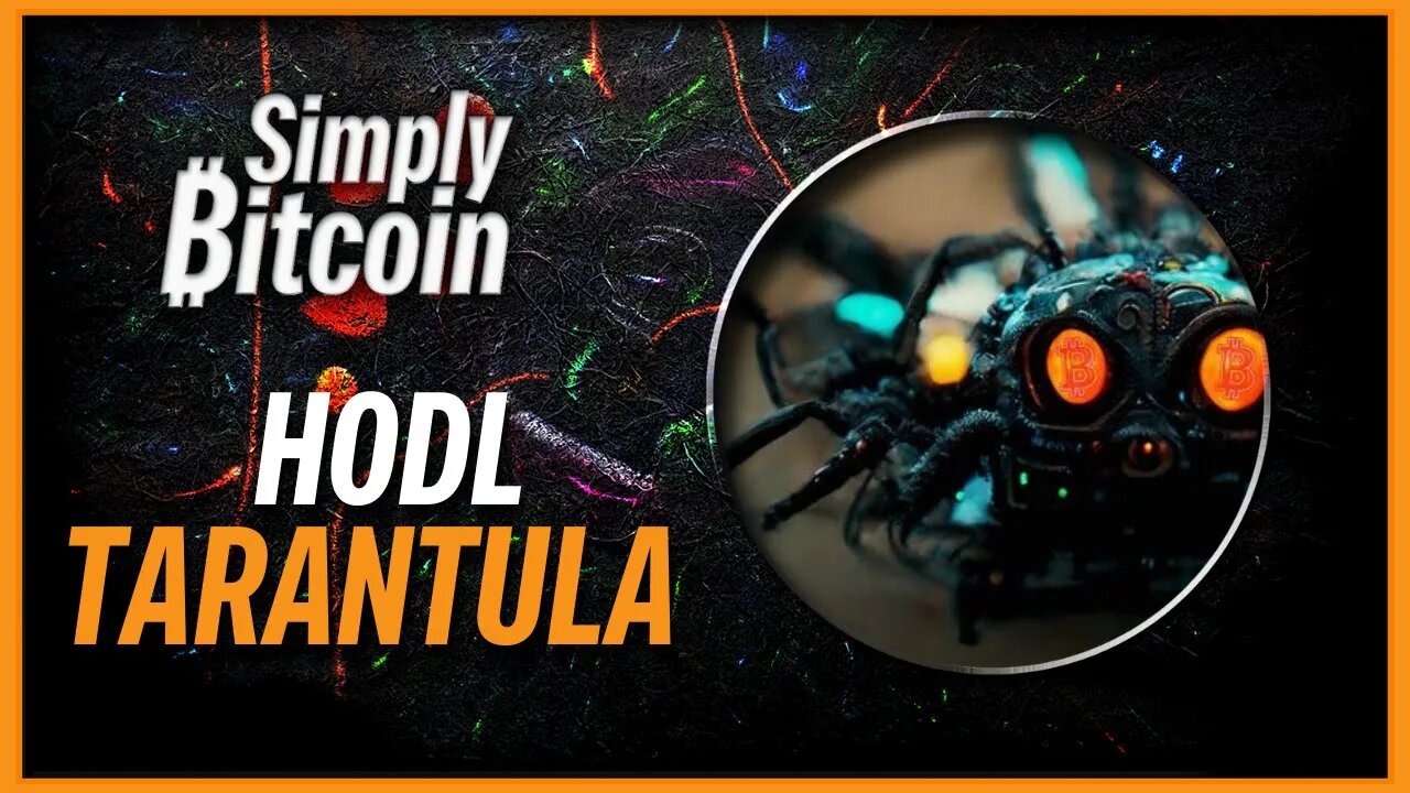 Hodl Tarantula | POW More Than Just Mining | Simply Bitcoin TTO