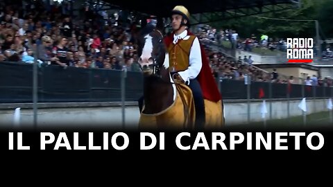 Il pallio di Carpineto