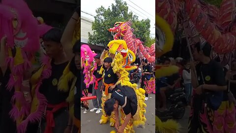 Pawai Barong Naga di Indramayu #shorts #viral #fyp