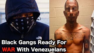 Chicago Gangs DECLARE WAR On Migrants