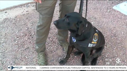 Omaha Police Officer, K-9 helping with Super Bowl security