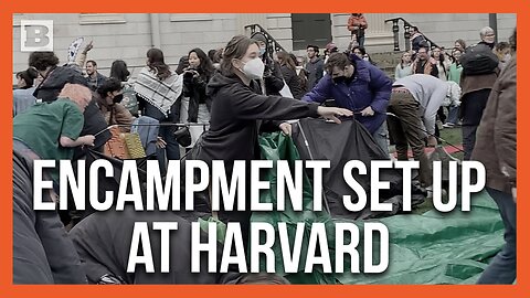 Harvard Yard Invaded by Anti-Israel Encampment, "Intifada Revolution"