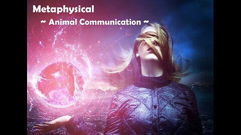 Metaphysical-#49 Animal Communication