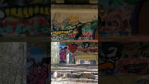 Beneath the Graffiti Bridge to Nowhere #shorts