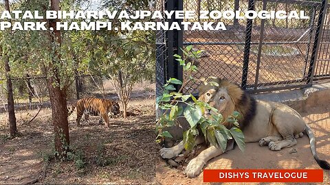 Hampi Zoo | Atal Bihari Vajpayee Zoological Park , Hampi |Bengal Tiger, White Tiger #youtube