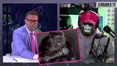 Gavin McInnes Listens to Koko The Gorilla's Last Words