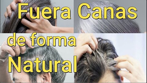 RECUPERAR EL COLOR NATURAL DE TU CABELLO, REVERTIR EL PELO CON CANAS