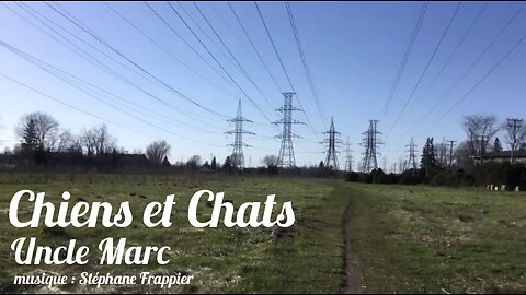 Chiens et Chats - Uncle Marc