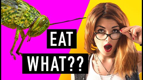 Insects as Food - Would You Eat Insects?