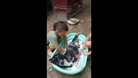 My nephews bathing the dog 🐶 jijiji