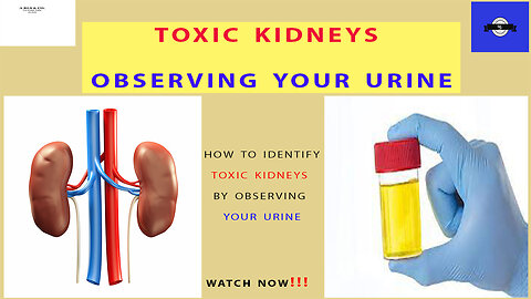 observe your URINE. It Can Hint Kideny Disease