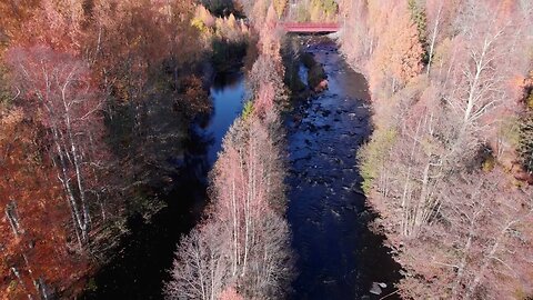 4k Drone Footage | Sweden | Forsby