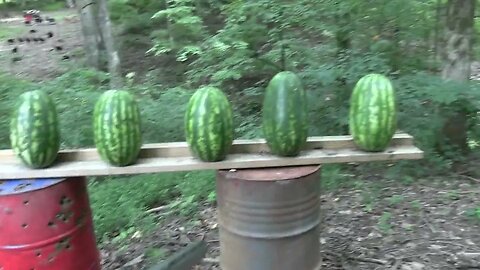 Colt Anaconda 44 Magnum VS Watermelons