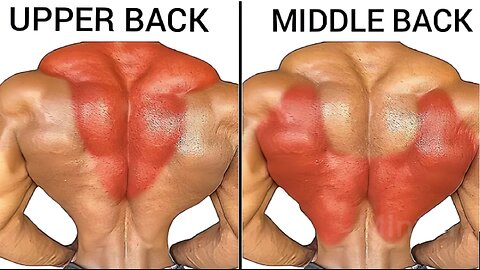 Best 5 Exercises For Big Back ll Back Workout