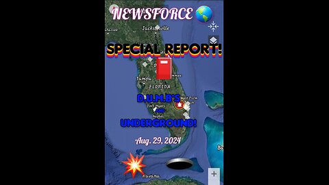 NEWSFORCE! 🌎 SPECIAL REPORT! 📕 ✨️ DUMB'S & UNDERGROUND 💥 🕳 ORANGE 🟧 SCREEN