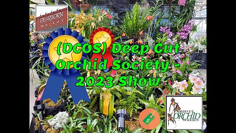 (DCOS) Deep Cut Orchid Society - 2023 Show