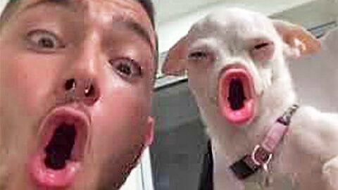 The End 🤣🐶🐱 Funny Compilation 2023 | Funny animal video