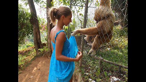 Best Of The 2023 Funny Animals: Curious Monkey Looks Where It Shouldn't