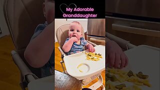 Foldable Compact Highchair | Day 10 of 30 Day Home Product Challenge #shorts