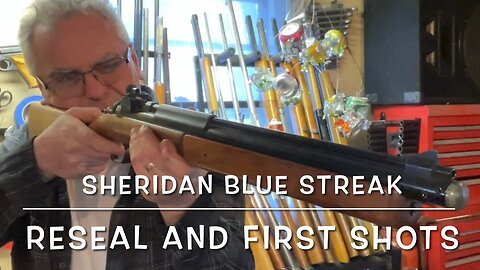 Sheridan Blue Streak. Pump cup replacement and testing. What a beast!