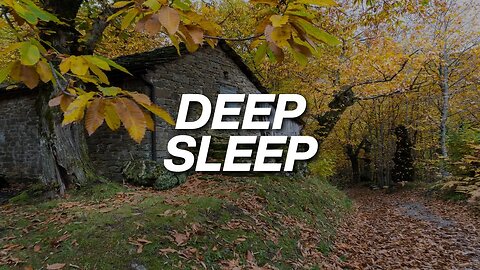 Deep Sleep Music: Delta Waves, Relaxing Music Sleep, Sleeping Music, Sleep Meditation