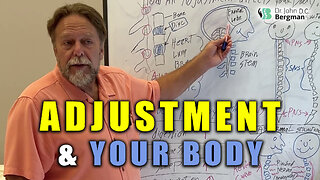 Adjustment & Your Body