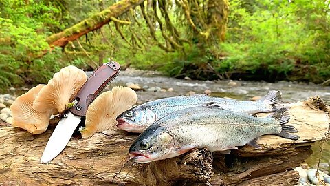 Trout Fishing & WILD MUSHROOM Foraging!!! (Catch, Clean, Cook)