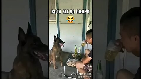 vamo toma uma hahaha 😂😂😂😂😂😂😂😂 #dog #bebum #videos.