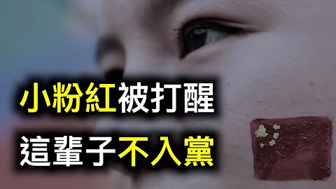 被鐵拳打醒,小粉紅這輩子不會入黨！80後「能不能換著人坑一坑？80後招誰惹誰了？」