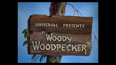 Woody Woodpecker 01 Woody Woodpecker (1940)