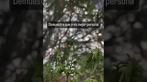 DEMUESTRA QUE ERES MEJOR PERSONA 🙏🙏