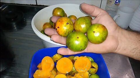 Cambucá (plinia edulis) apresentação da fruta polpa fiz suco com a casca muito refrescante...