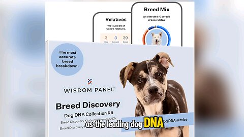 The Leading Dog DNA Test In The World