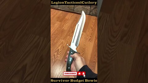 Survivor Budget Bowie!